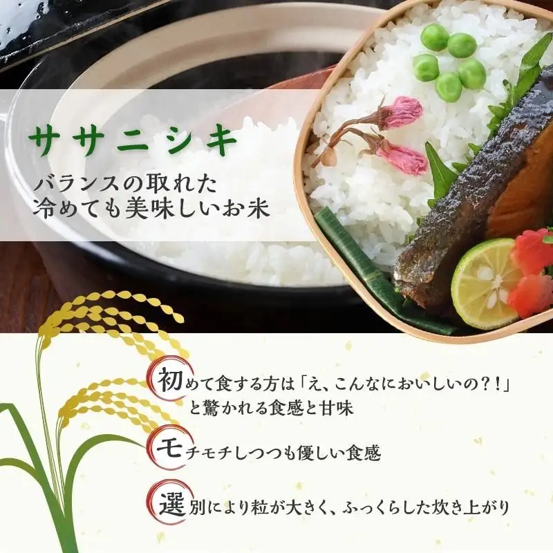 令和8年産 精米 ササニシキ 10kg