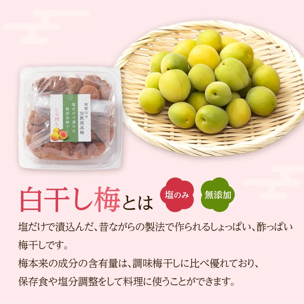梅干し しらぼし梅  約800g（約400g×2） 塩のみ 無添加 大粒 紀州南高梅 塩分約15％ 和歌山県産 [ 定期便 毎月発送・全6回 ]