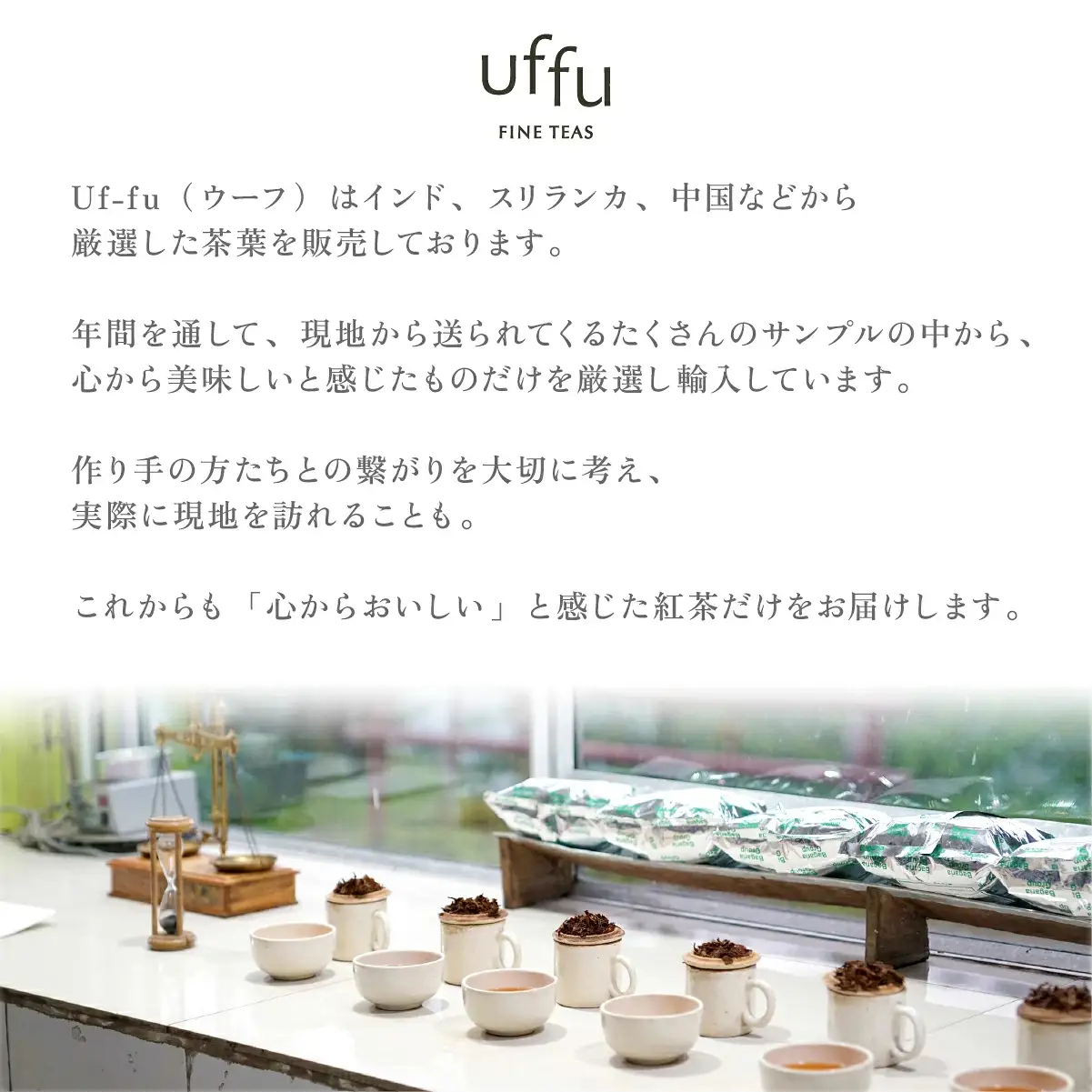 紅茶 ティーバッグ 8種セット【Uf-fu ウーフ】