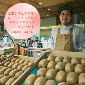 東伊豆・佐藤農園のポンカン　贈答用10kg（Mサイズ～3Lサイズ）  1322／ 佐藤農園 果物 フルーツ 農家直送 静岡県 東伊豆町
