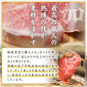 宮崎県西ノ原牧場・A4等級以上宮崎牛ヒレステーキ 300g（牛肉 宮崎牛 お肉 ヒレ ステーキ 赤身 2枚 冷凍 焼肉）