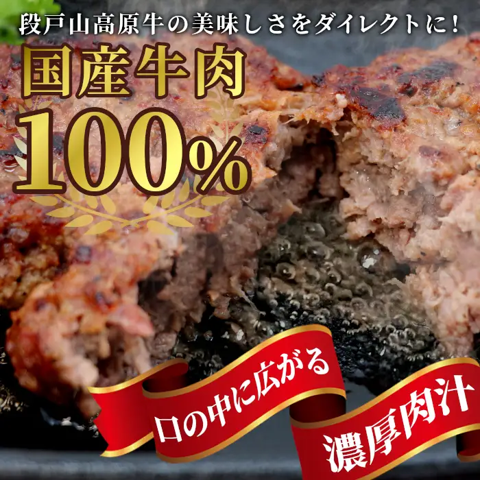 国産 牛肉 100%使用！ ハンバーグ レンジ可 湯煎 加熱済 6個 個包装 100ｇ 国産牛 牛 着色料 保存料 化学調味料 不使用 牛肉ハンバーグ 肉 肉汁 -095
