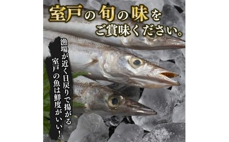 【奇数月定期便】いずま海産のトロカマス干物8枚頒布会【6回お届け】干物 FN-Limited-PR