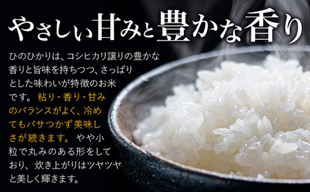 米 ひのひかり 米 計10kg 《30日以内に出荷予定(土日祝除く)》 ヒノヒカリ お米 こめ 熊本県産 精米 ブランド米 ご飯