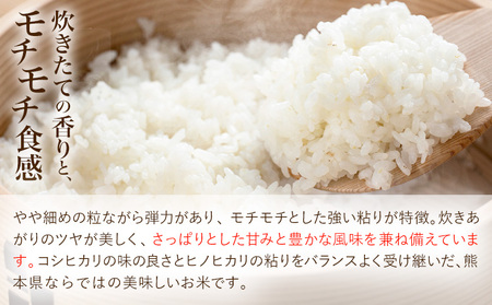 米 もりのくまさん 米 計10kg 《30日以内に出荷予定(土日祝除く)》 お米 こめ 熊本県産 精米 ブランド米 ご飯