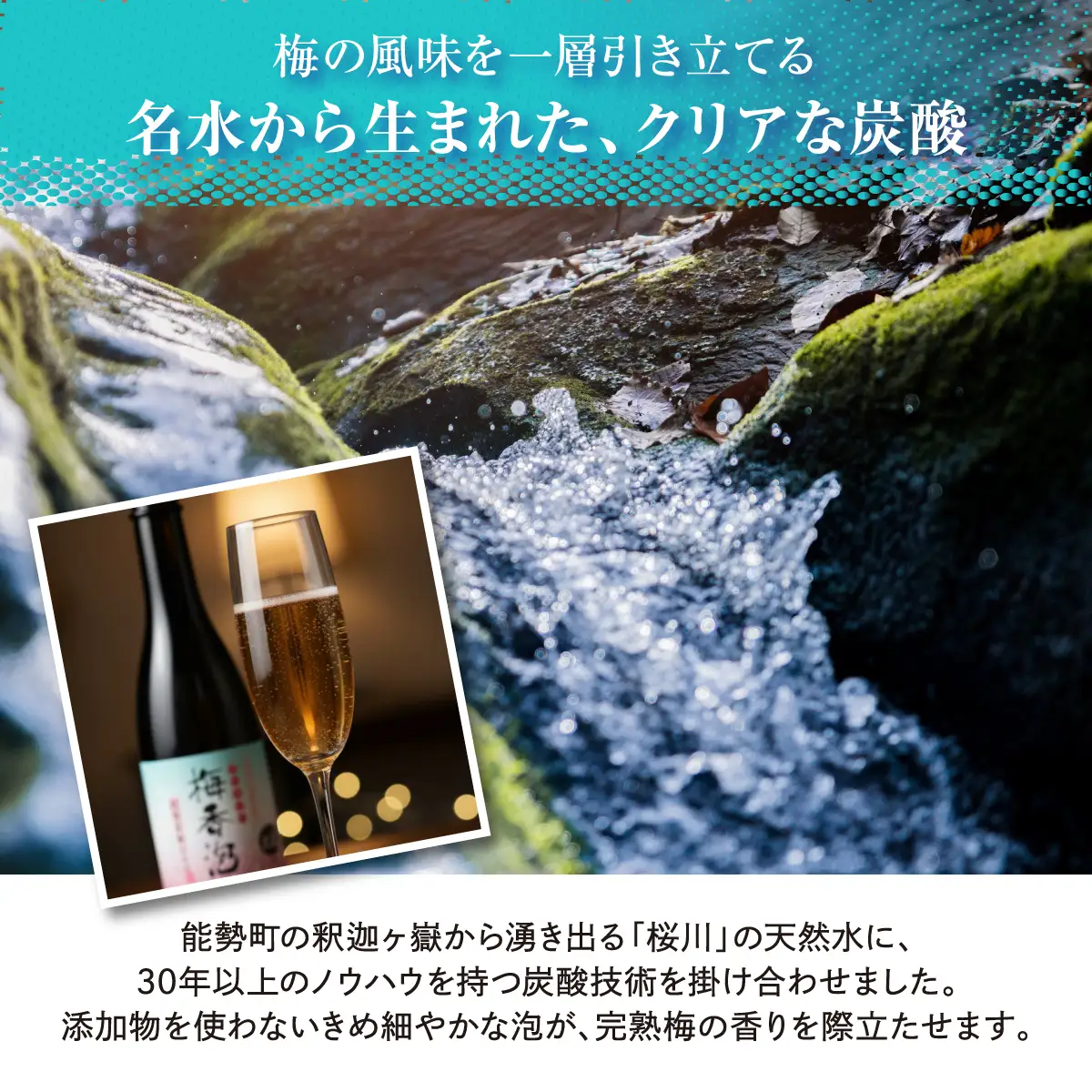 《完熟梅のスパークリング》 梅香泡 (うめかほう) 24本入 | 能勢酒造 | お酒 アルコール 食前酒 スパークリング 梅酒 リキュール ブランデー 無添加 紀州梅 国産 お取り寄せ カクテル 家飲み 老舗 瓶 | 大阪府 能勢町 送料無料