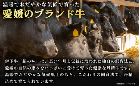 ＜伊予牛「絹の味」黒毛和牛 小間切れ 約400g＞お肉 牛肉 精肉 国産 和牛 ブランド牛 こま切れ 小分け 全国農業協同組合連合会 愛媛県本部／愛媛県 西予市【冷凍】『最短10営業日以内に順次発送』OZN0001