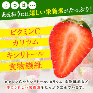 【2027年1月中旬以降順次発送予定】あまおう 約250g×2 as48-001 あまおう 苺