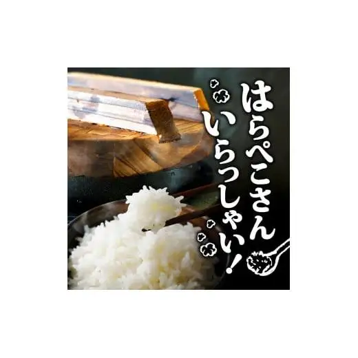 【 コシヒカリ 】 コシヒカリ3kg