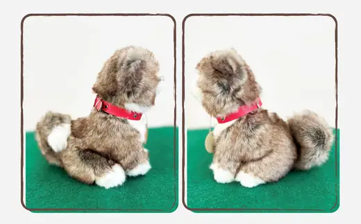 ＜よちよちあきた＞秋田犬虎毛ぬいぐるみ　座り　Ｓサイズ　【45P7315】【秋田犬保存会】