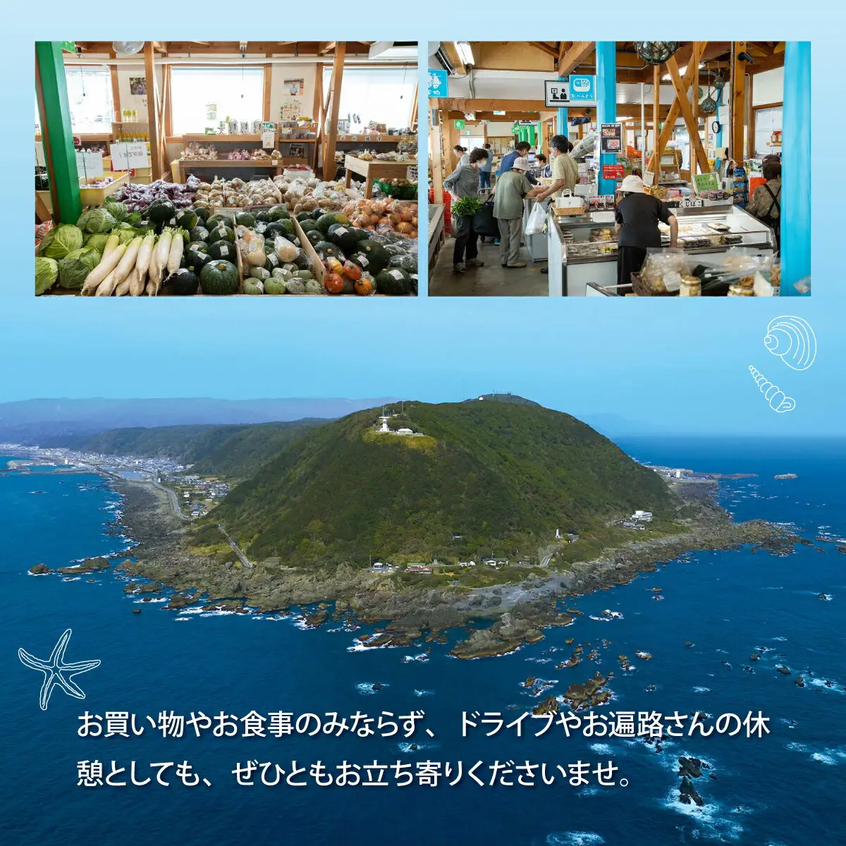 高知の人気パン 食パンセット(ぼうしパン、自家製食パン) 【配送不可地域：離島】【rk003-h01】
