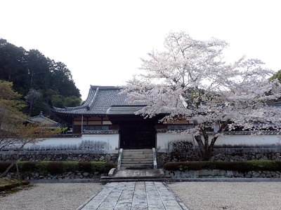 K010 常栄寺庭園保存整備事業