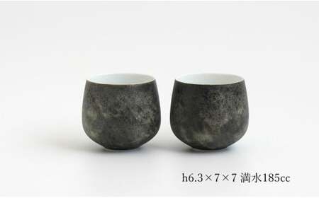 有田焼 MoonSurface 茶器 4点 セット【李荘窯業所】食器 器 うつわ 土瓶 モダン 和食器 プレート 李荘窯 140000円 14万円 ga001