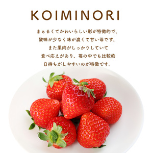 熊本 たまな産 イチゴ 恋みのり 約1000g （ 250g × 4パック ） | フルーツ 果物 くだもの 果実 苺 いちご ベリー ストロベリー  熊本県 玉名市
