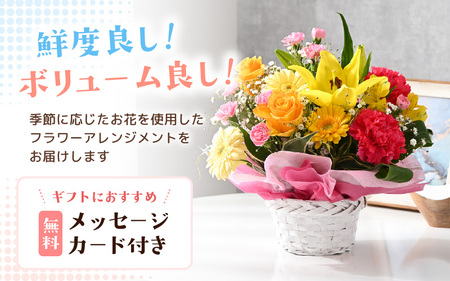 定期便 ≪3ヶ月連続お届け≫ 季節のフラワーアレンジメント L (レッド・ピンク) 花束 生花 プレゼント [E-20705_01]