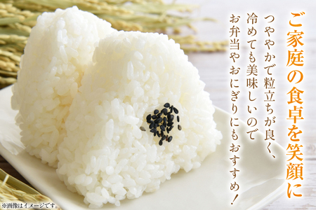 米 ゆきさやか 5kg