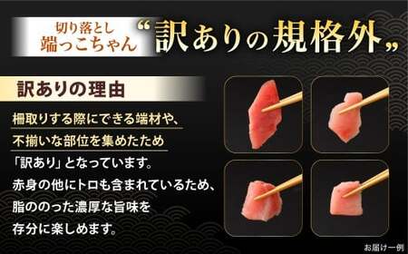 本マグロ大賞受賞 みやび鮪 たたき 約200g （約2～3人前） ・ 【訳あり】 みやび鮪 切り落とし 端っこちゃん 約300g （約3～4人前） 合計約500g 訳アリ わけあり 理由あり 鮪 まぐろ 本マグロ 本鮪 本まぐろ タタキ トロ 魚 九州 長崎県 長崎市 冷凍
