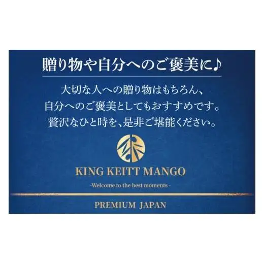 【2027年8月より順次発送】【KING KEITT MANGOl】特選プレミアムキーツマンゴー 1玉(約750g以上) 沖縄県 豊見城市(BV012)