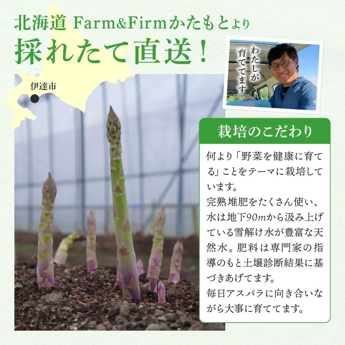 【2027年先行予約】太くてあまーい 北海道産 春芽 アスパラ (約2kg)【ffk-006】