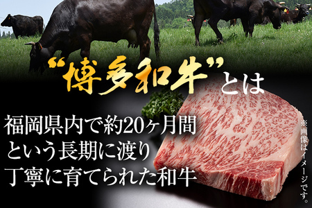 【先行予約】【厳選部位】【A4～A5】博多和牛サーロインブロック 約1kg CP046er 