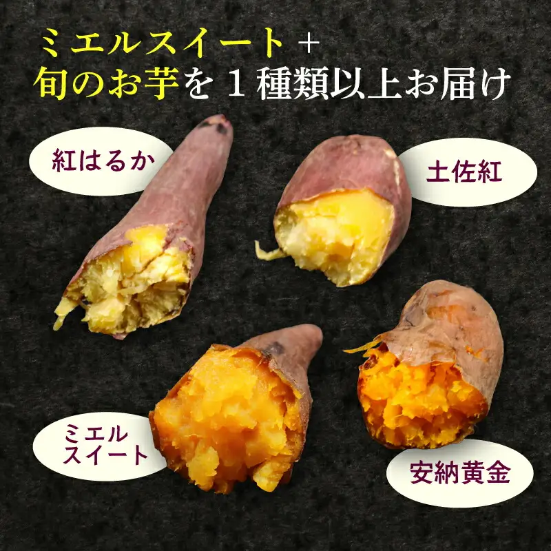 【先行予約】(2026年10月末～発送予定) 【訳あり】 サツマイモ 詰め合わせ 5キロ ミエルスイート ＋1種類以上