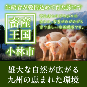豚肉 九州産 豚バラ スライス 2.4kg