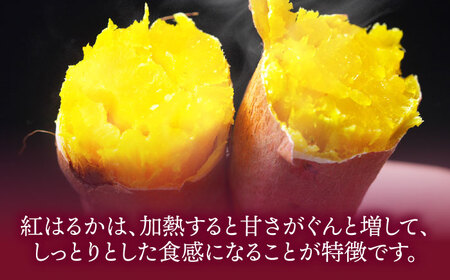 紅はるか 5kg 紅はるか[AGAP020]