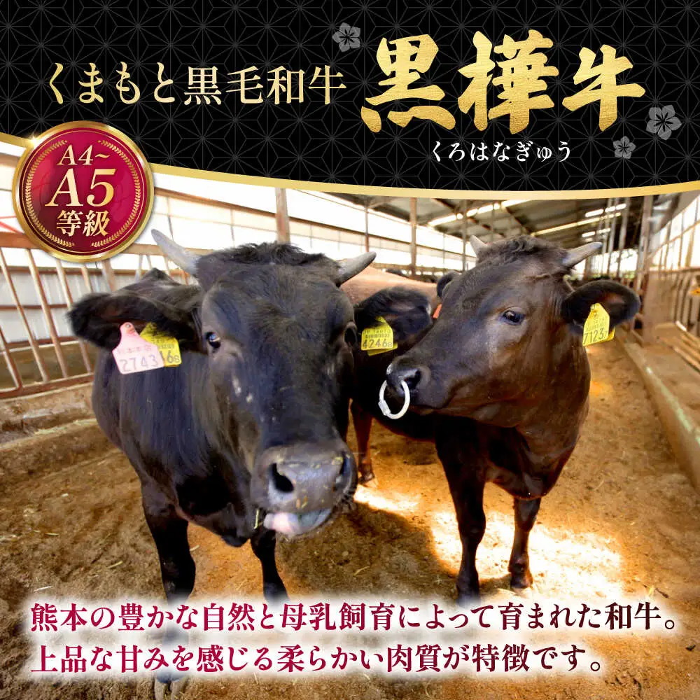 くまもと黒毛和牛 黒樺牛 A4〜A5等級 ロースステーキ 約400g 黒毛和牛ロースステーキ[AYBJ015]