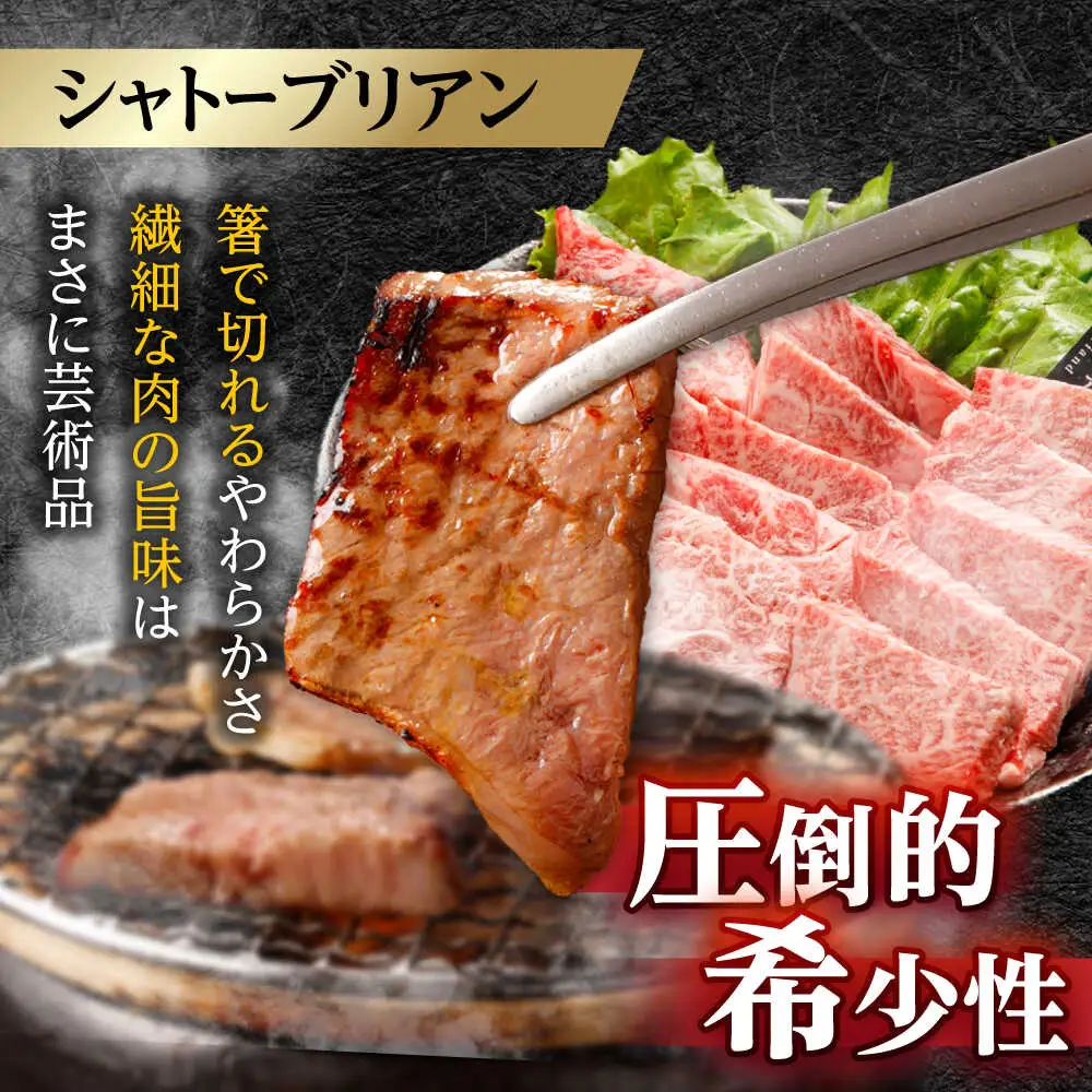 〈シャトーブリアン入り〉希少部位 焼肉 6種食べ比べセット 600g(各100g) / シャトー サーロイン カルビ モモ ロースザブトン ミスジ トモサンカク イチボ ランプ 長崎和牛 国産 牛肉 和牛 a5 焼肉 やきにく 焼き肉用 セット / 諫早市 / 野中精肉店[AHCW146]