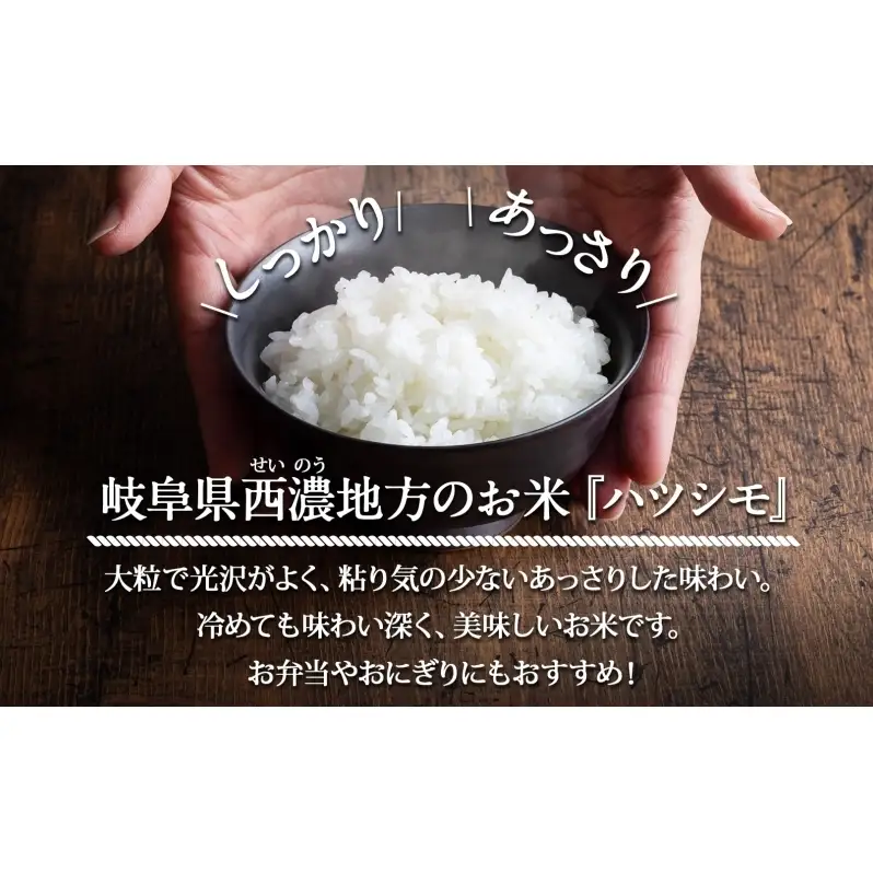 ハツシモ 高橋米 白米 大粒 ブランド米 ハツシモ【5kg】【定期便全5回 先行予約】