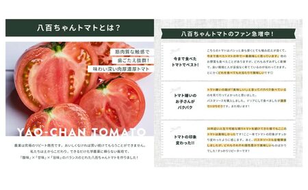 パスタソース 本格トマト味 八百ちゃんトマトパスタソース【120g×2本】【定期便全4回】