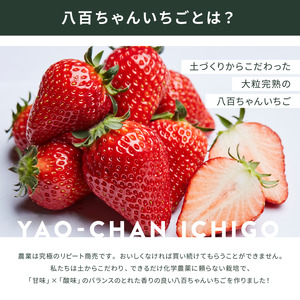 いちごジャム農家のホンモノ八百ちゃんいちご砂糖不使用いちごジャム【140g×2本】【定期便全3回】