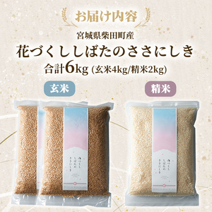 【令和8年産】ササニシキ 精米 玄米 セット 合計6kg（玄米4kg/精米2kg） 柴田町産 お米 おこめ 米 コメ 白米 ご飯 ごはん おにぎり お弁当 【しばたの未来株式会社】sh012