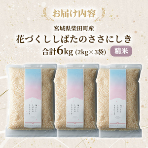 【令和7年産】ササニシキ 精米 合計6kg(2kg×3袋) 柴田町産 お米 おこめ 米 コメ 白米 ご飯 ごはん おにぎり お弁当 【しばたの未来株式会社】sh013