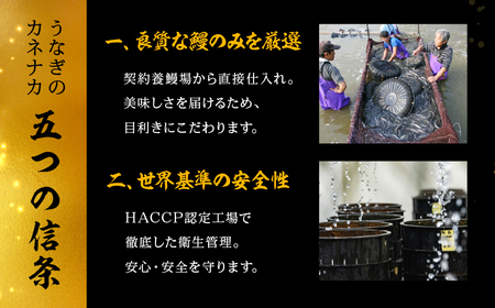 国産若うなぎ 2尾 定期便6回 うなぎ
