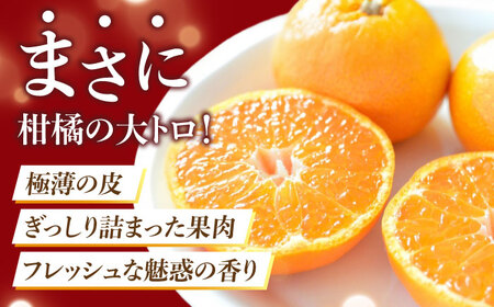 【露地栽培】せとか約3kg（12-15玉） 長与/JAじげもん長与直売所[EAF008]