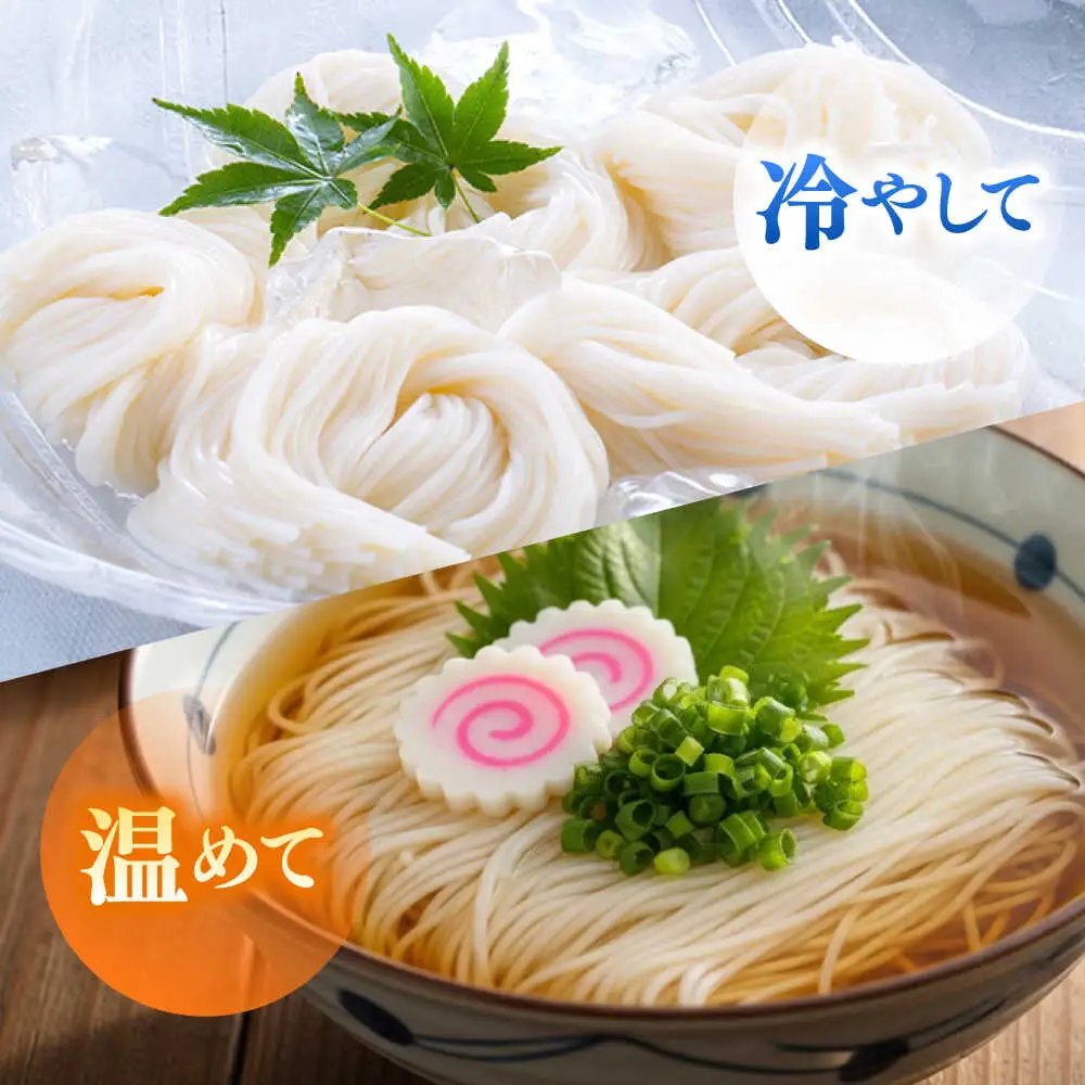 【邑居監修！麺つゆ付き】島原 手延べ そうめん 2人前 (50g×4束）めんつゆ 2袋 / 島原素麺物語 麺 乾麺 / 南島原市 / 三和サービス株式会社[SGB007]