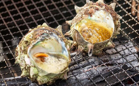 対馬直送！ サザエ 1.5kg 《対馬市》【うえはら株式会社】 産地直送 さざえ 栄螺 BBQ 魚介 海鮮 対馬 長崎 つぼ焼き[WAI094]