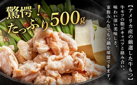 A1593.魚住商店特製塩もつ鍋セット2～3人前・〆のチャンポン麺付き【満足もつ増量500g】