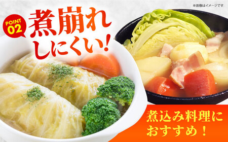 【先行予約】 キャベツ 10kg 【吉祥】[HDG001]