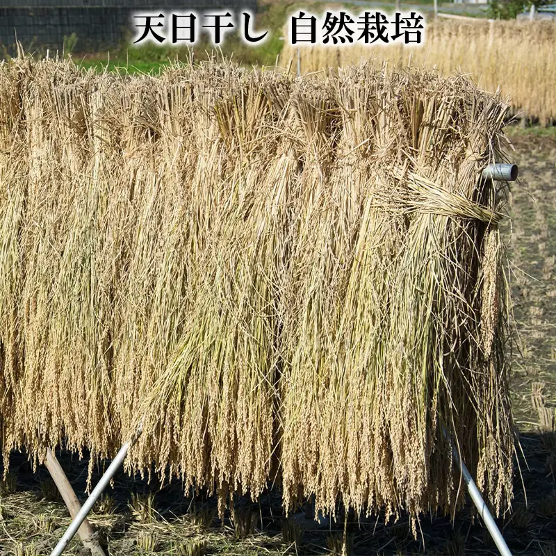 【令和8年産】 天日干しの手間をかけた (はえぬき) 丹野さん家のコメ 精米 1kg FY25-333