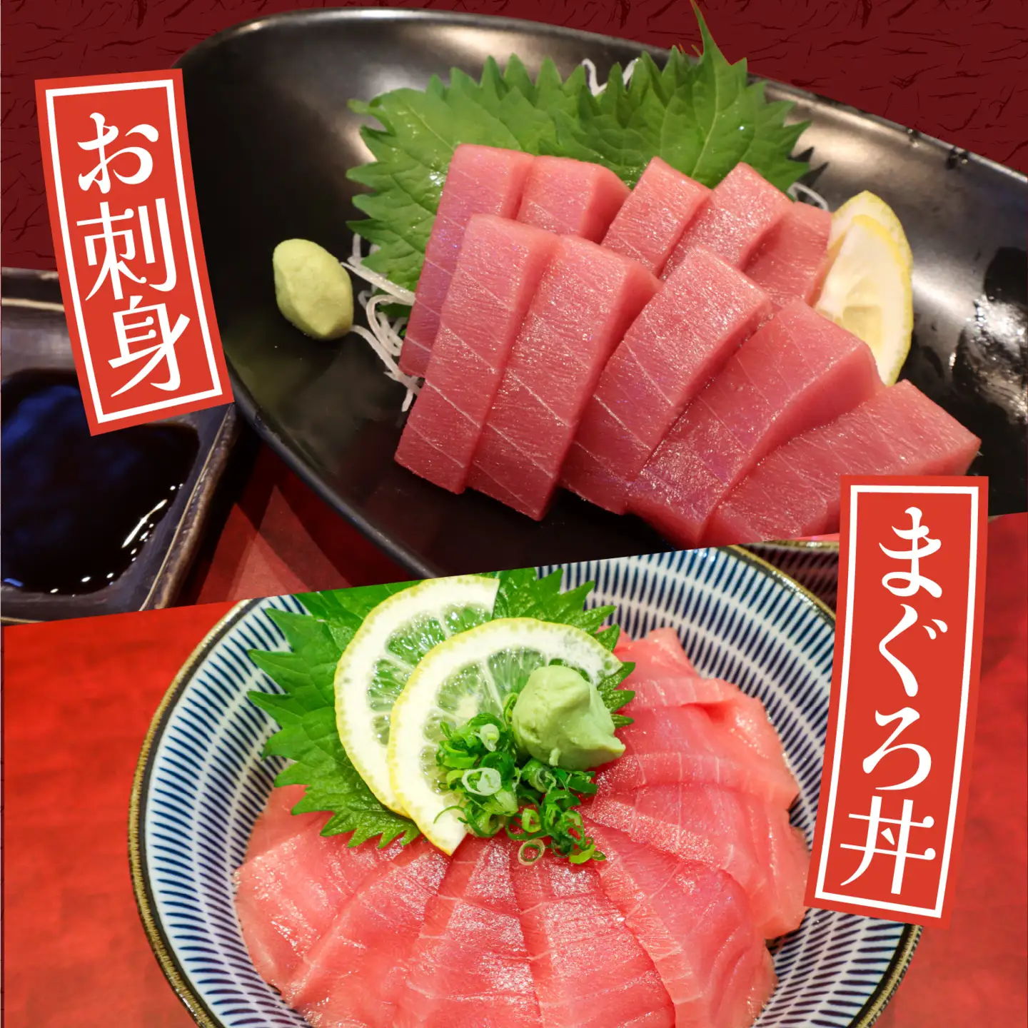 国産 本マグロ 中トロ 約500g 3～4人前 / まぐろ [B-066006]