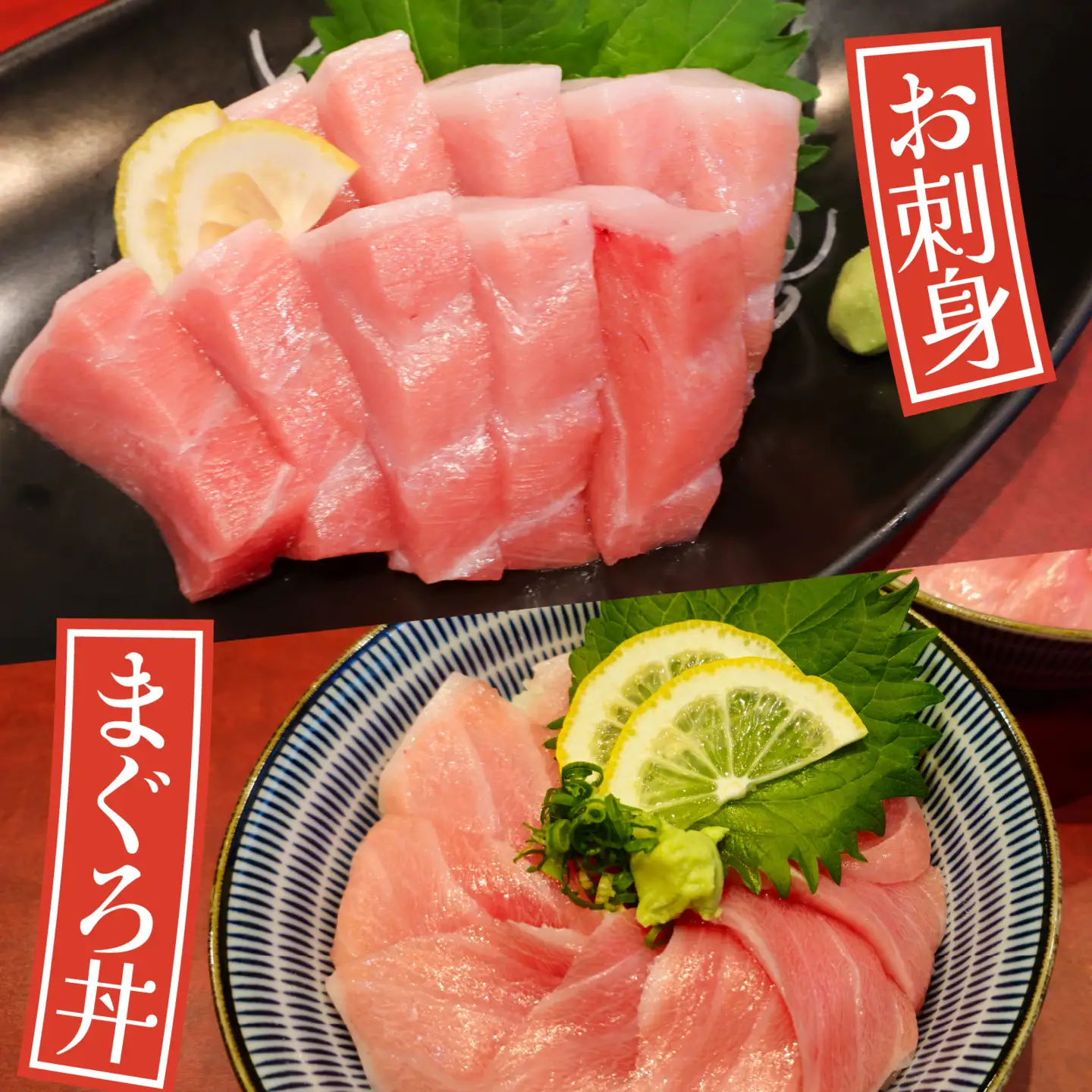 国産 本マグロ 大トロ 約500g 3～4人前 / まぐろ [B-066008]