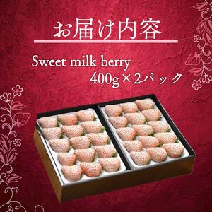 【期間限定】白いちご 800g ｜ いちご