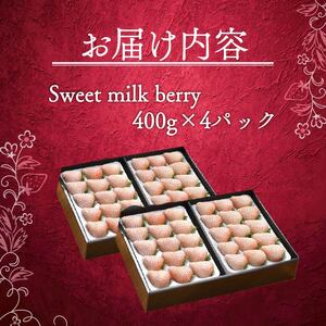 【期間限定】白いちご 1600g ｜ 白いちご