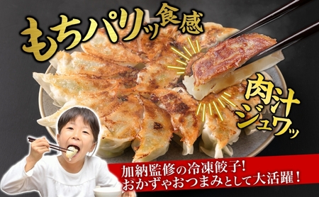 【加納の王道】餃子 冷凍生餃子 50個 生餃子 冷凍餃子 ギョーザ おかず 総菜 おつまみ つまみ ごはんのお供 中華 家庭用 お取り寄せ まとめ買い 大容量 冷凍食品 焼き餃子 冷凍 神奈川 神奈川県 茅ヶ崎市