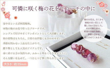 秋間の梅のお花ブローチ ANBI001