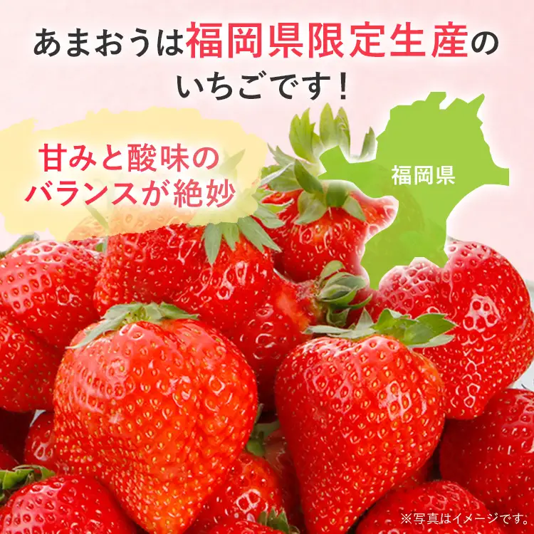 あまおうDX 約250g~約270g×2パック いちご 苺 フルーツ 果物 くだもの 福岡県 福岡 九州 グルメ お取り寄せ 【2027年2月上旬～2027年4月末頃発送予定】