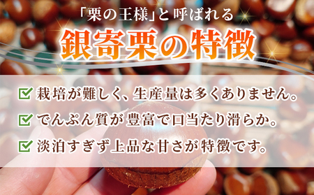 ＜栗の王様 銀寄栗（生栗）3L（約1kg）＞ 銀寄 ぎんよせ 甘い 生栗 和栗 マロン 栗 くり 栗ごはん 栗きんとん 甘露煮 旬 国産 産地直送 城川ファクトリー 愛媛県 西予市【冷蔵】『2026年9月中旬～10月上旬に順次発送予定』SSF0048