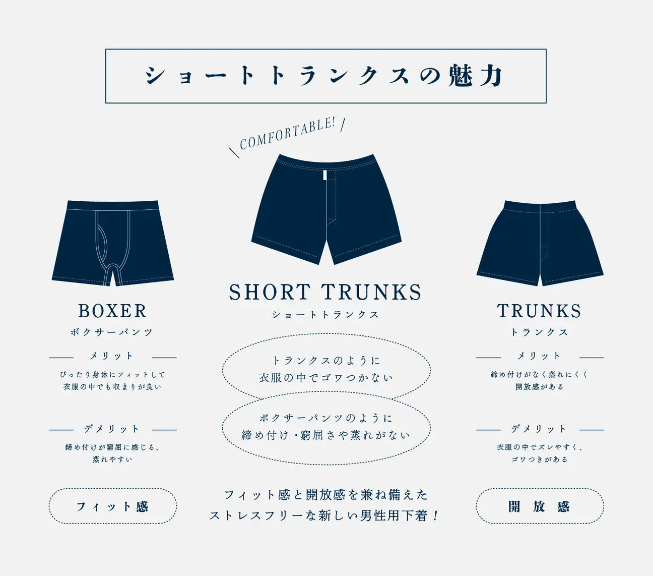 メンズ 下着 ショート トランクス XLサイズ 1枚 / 特別色 / 13 Purple check / ZIVANE ジバン / 締め付け感の無い / 専用BOX付き アンダーウェア